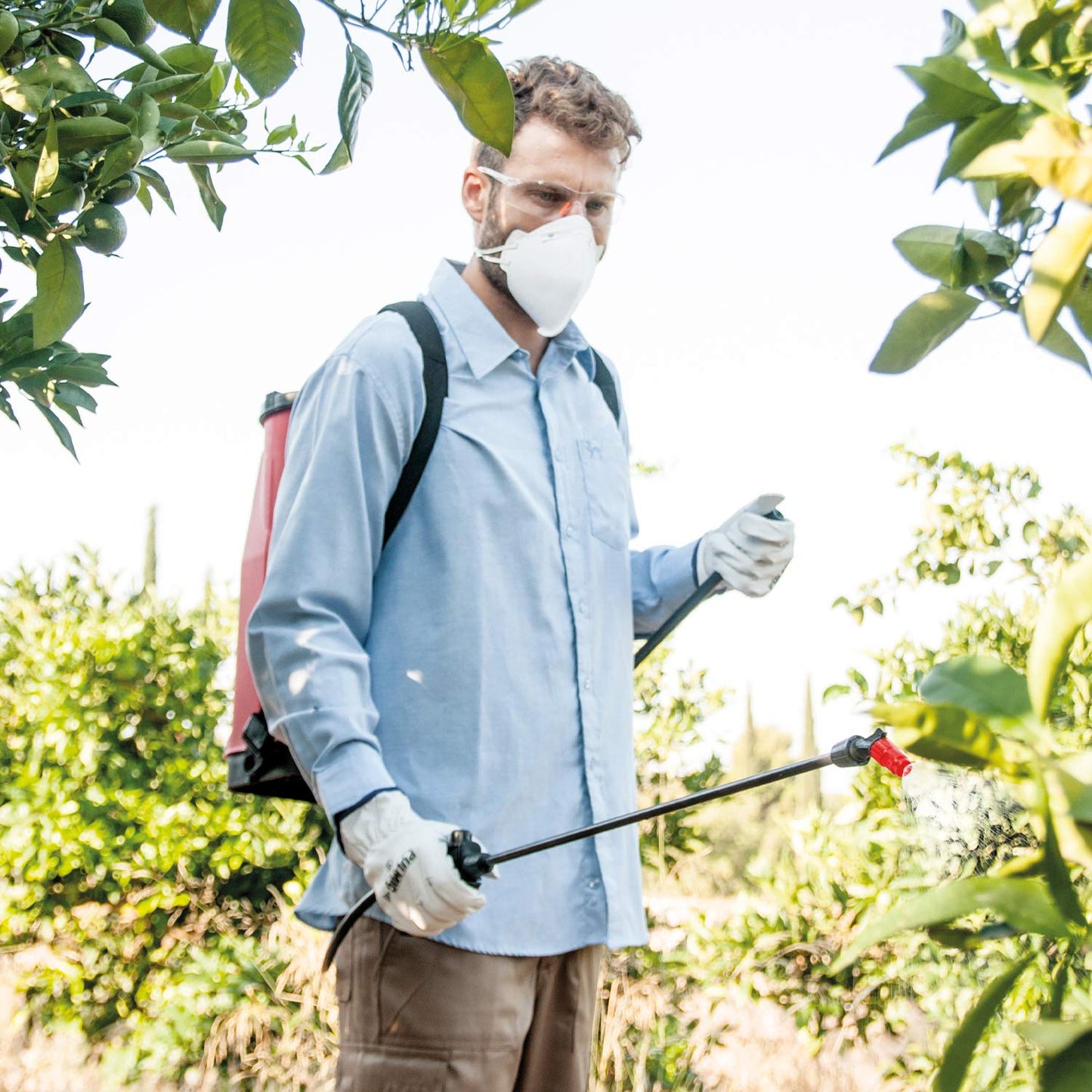 Pulmic Raptor 16 Advance