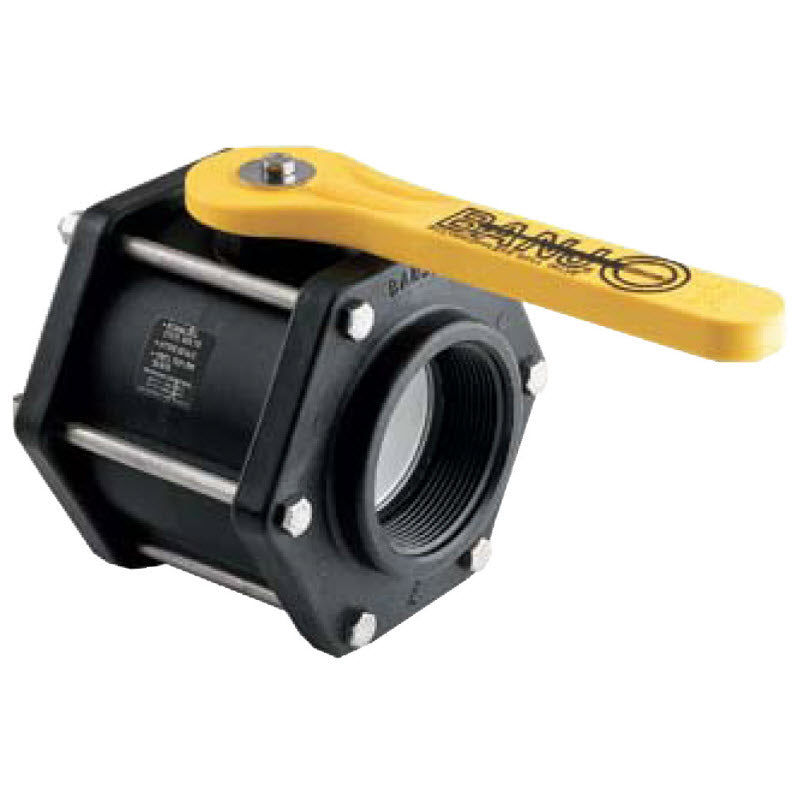 3" Full Port Poly Ball Valve