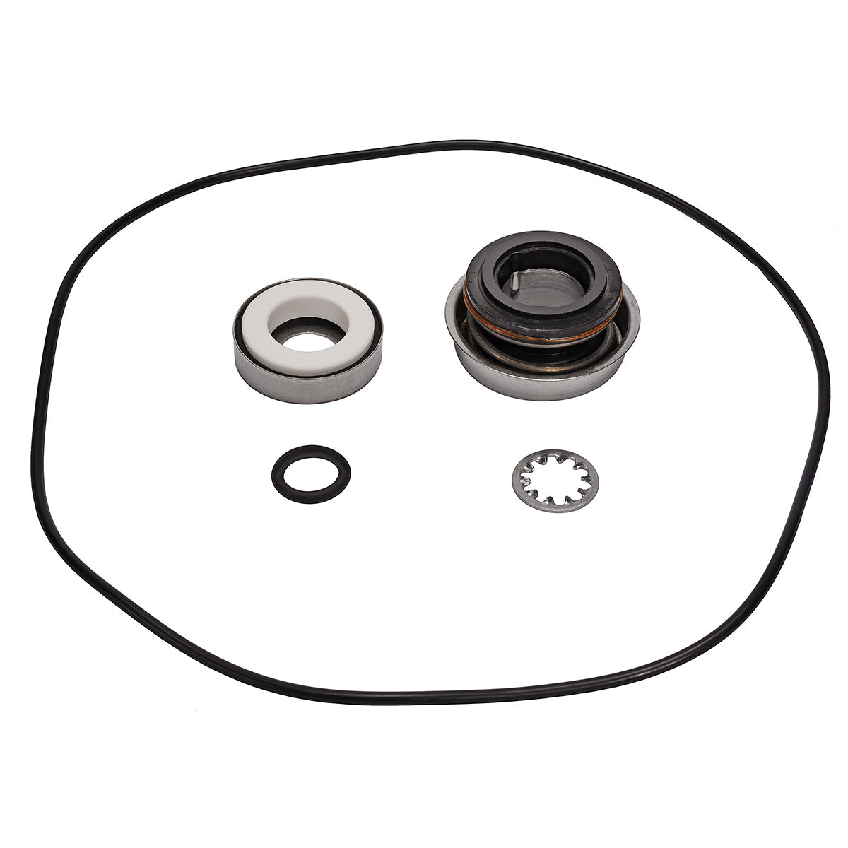 ace garden sprayer replacement parts Repair Kit for A FMC-150