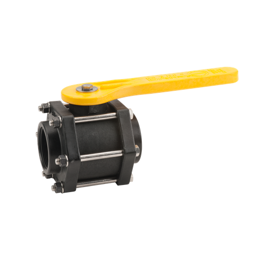 2" Full Port Poly Ball Valve