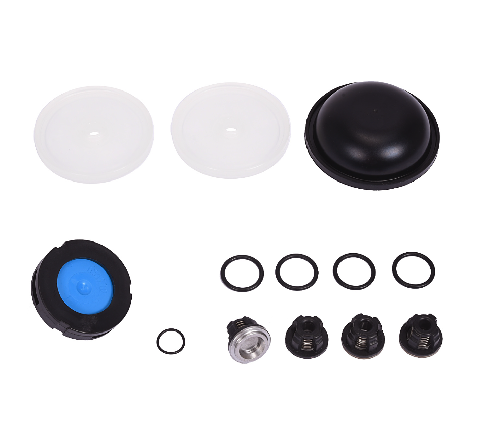 Hypro D30 Diaphragm & Valve Kit (New Style)