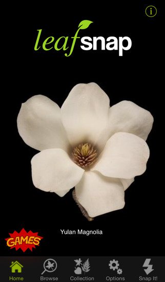 5 Apps That Every Horticulturist Should Download Now