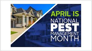 Key Facts You Need to Know About National Pest Management Month