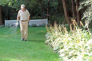 Landscaper's Corner: Insights and Updates for Landscape Professionals