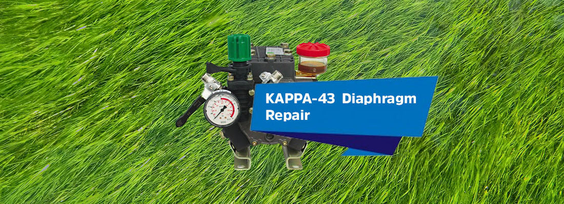 Diaphragm Repair on a Udor KAPPA-43 Diaphragm Pump
