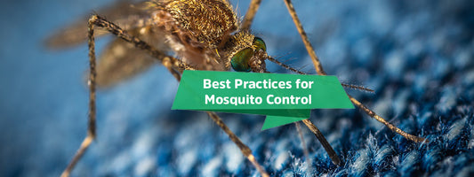 Best Practices For Mosquito Control