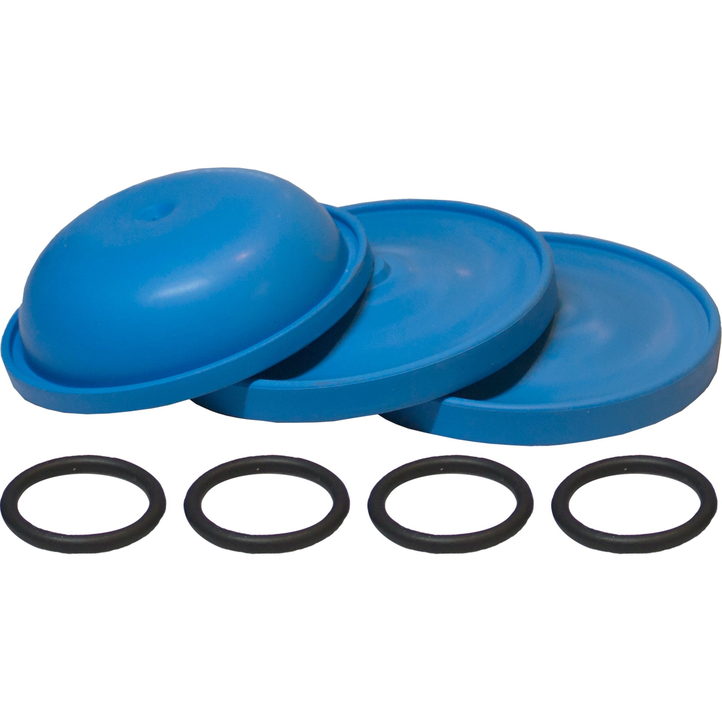 マーストリヒトAurorea 皿 古道具 blue flow ブロカント AR43243 AR70 BlueFlex Diaphragm Kit – Sprayer Depot