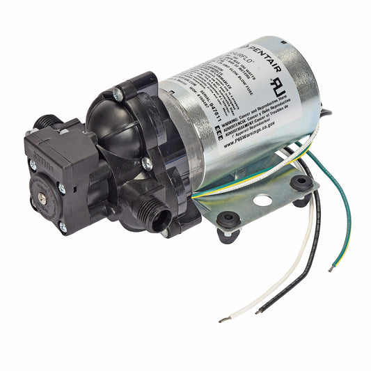 2088-394-154 Automatic Demand Diaphragm Pump 115VAC (3.2 gpm, 40 psi)