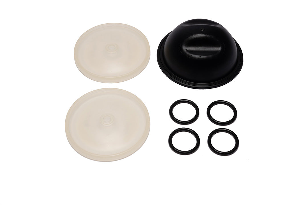 9910-KIT1723 D252 D19 Diaphragm Kit