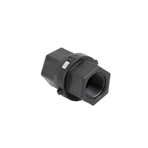 2" Female NPT Full Port Check Valve