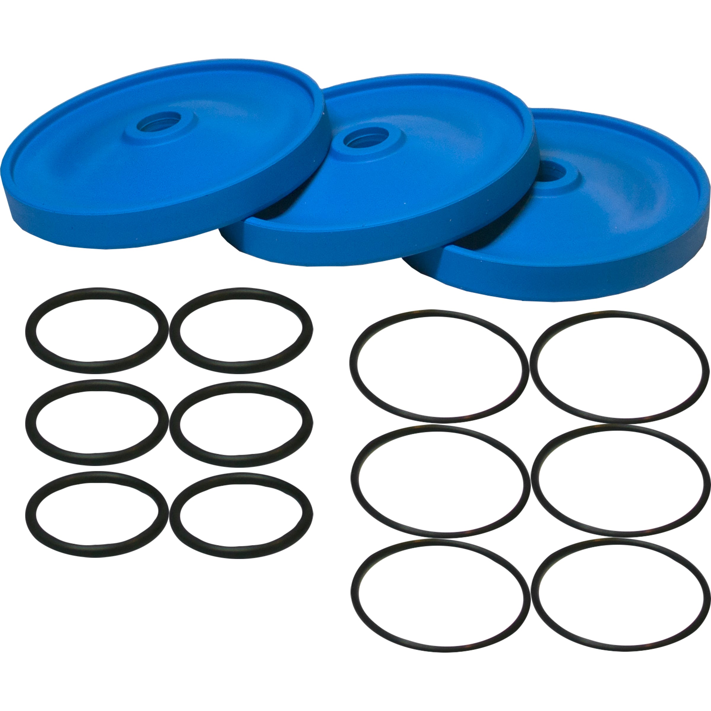AR43289 AR403 BlueFlex Diaphragm Kit – Sprayer Depot