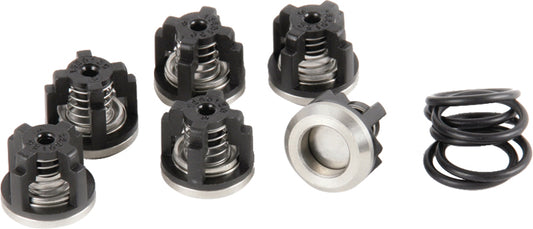 AR2445 Valve Kit