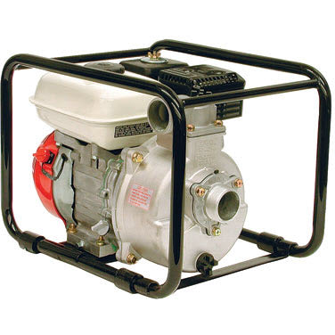Hypro 1572-SPX Transfer Pump