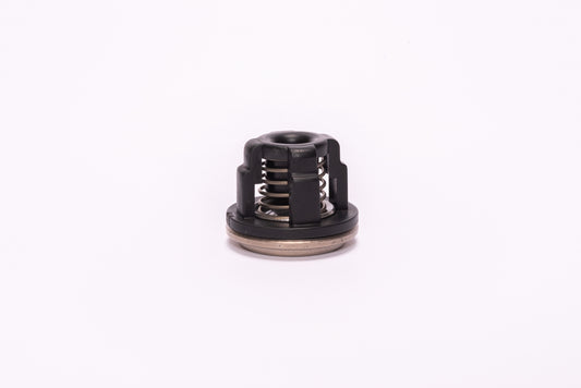 Complete Valve Assembly