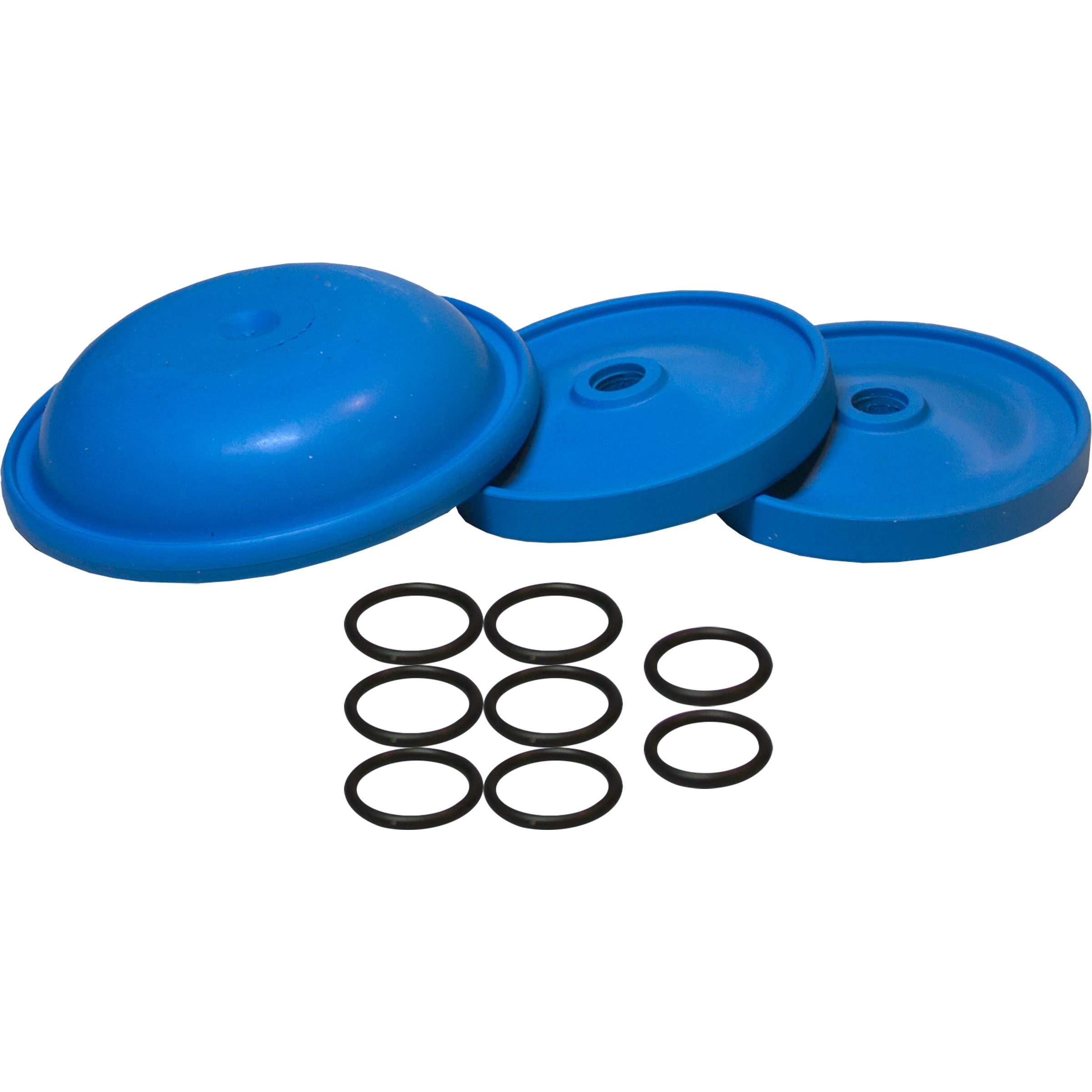 【re:z BLUE】SPICULE DIA SET AR43281 AR252 BlueFlex Diaphragm Kit – Sprayer Depot