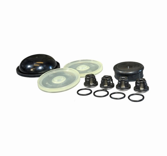 Hypro D30 Diaphragm & Valve Kit