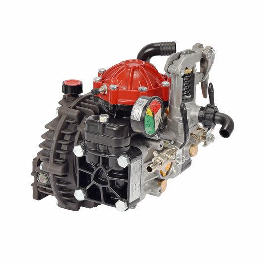 AR30-GR3/4-GCI Diaphragm Pump