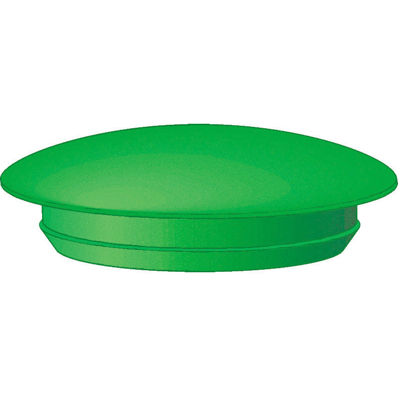 Green Plug for Ball Valve Handle - Arag