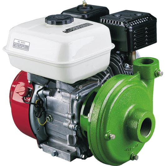 Ace GE-650-BRIGGS Gas Engine/Pump Combo
