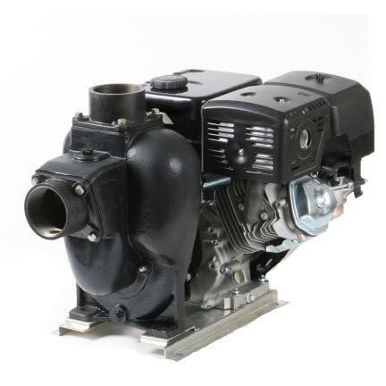 Hypro 1532C-6SP Transfer Pump
