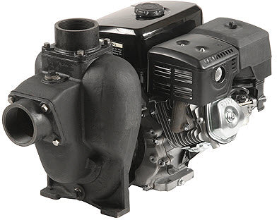 Hypro 1533C-13ESP Transfer Pump